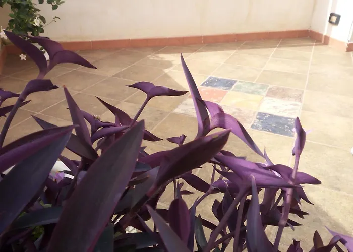 Al Centro Storico Frühstückspension 4*