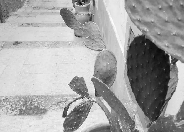 Al Centro Storico Frühstückspension Agrigent